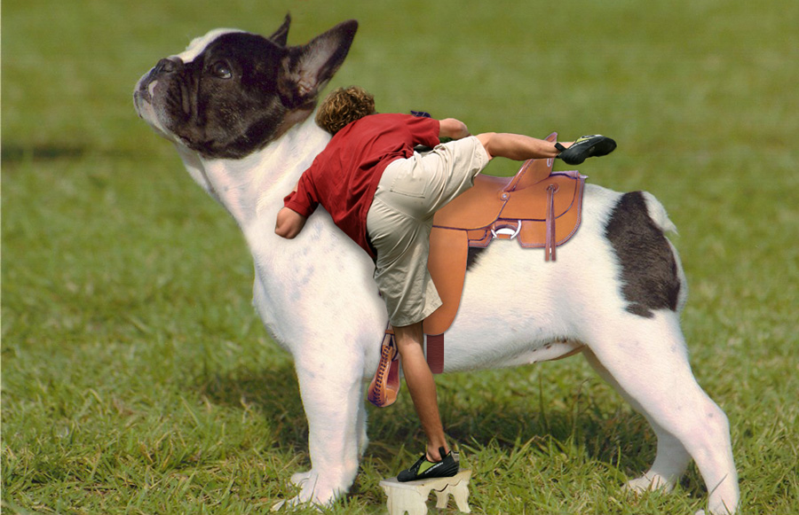 Photoshop-Design von katmgck für DesignCrowd (Community Contests) | Design #9030867