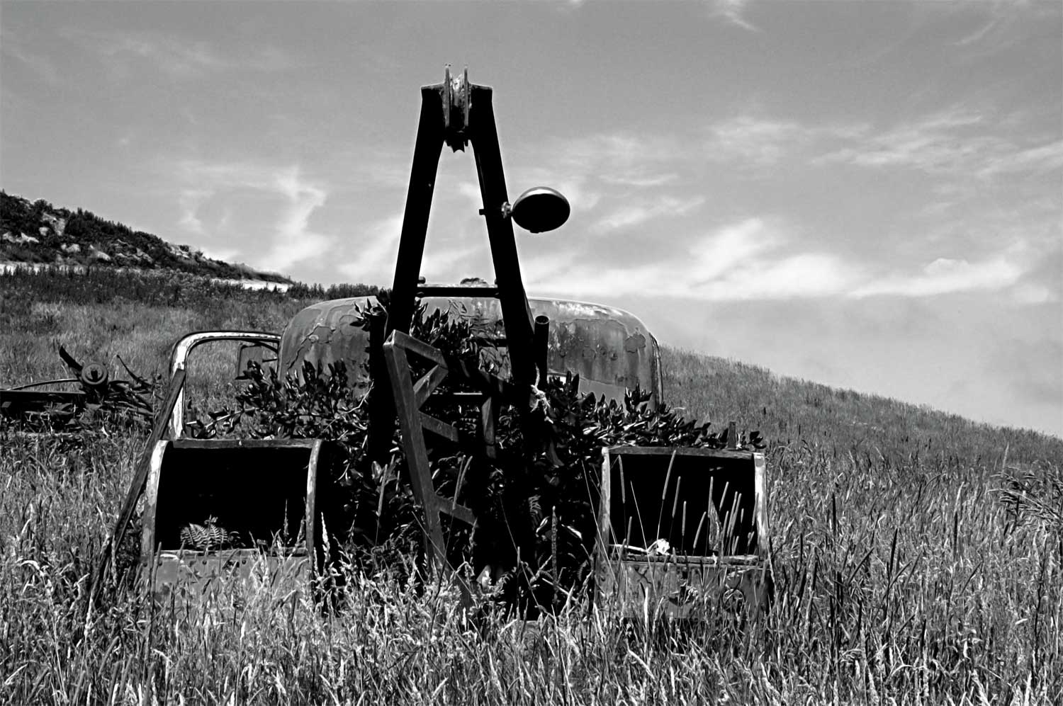 Fotografía por shazamataz para DesignCrowd (Community Contests) | Diseño #9032243