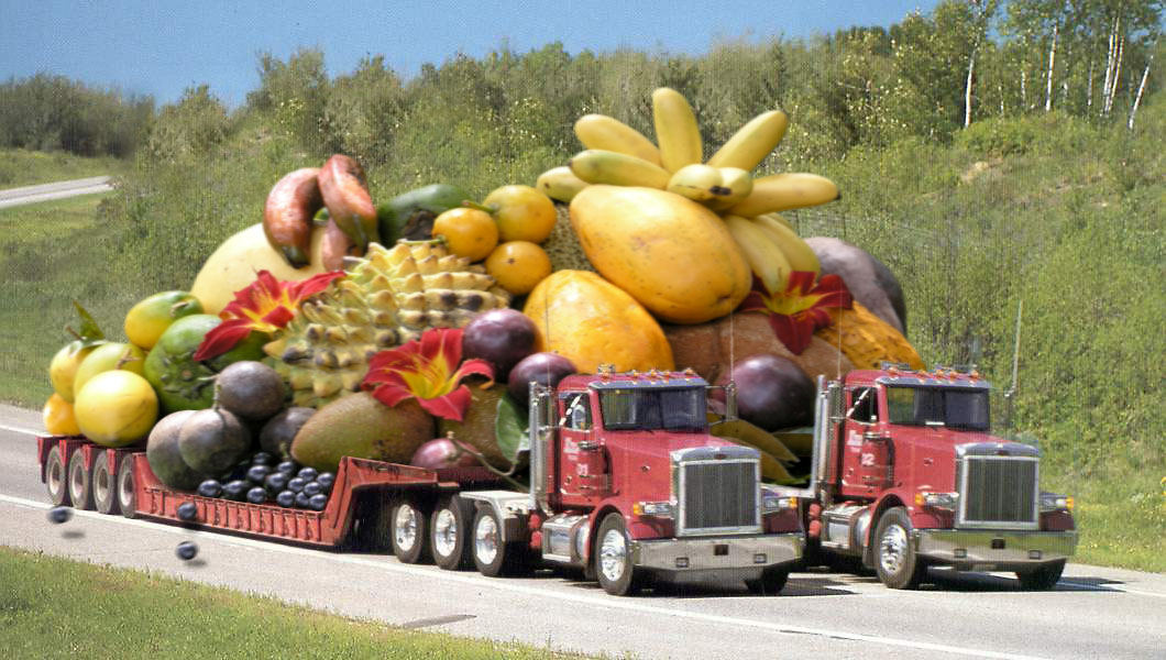 Photoshop Design by mlolsen for DesignCrowd (Community Contests) | Design #9030953