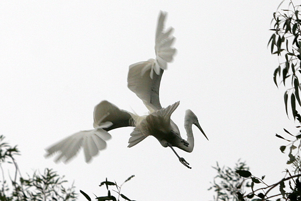 Photography by drogers for DesignCrowd (Community Contests) | Design #9032250