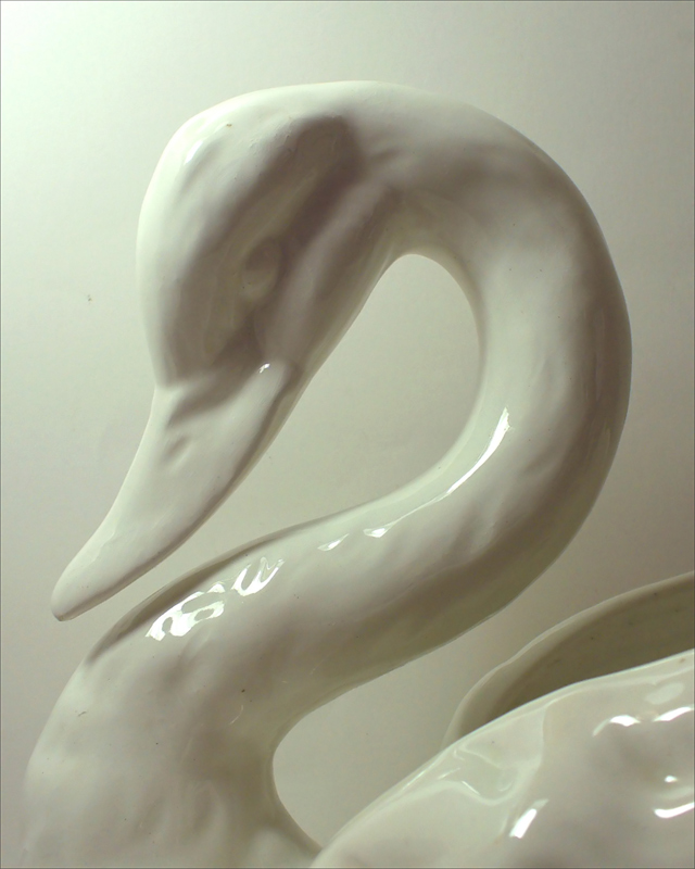 Fotografie von IsleofJura für DesignCrowd (Community Contests) | Design #9036902