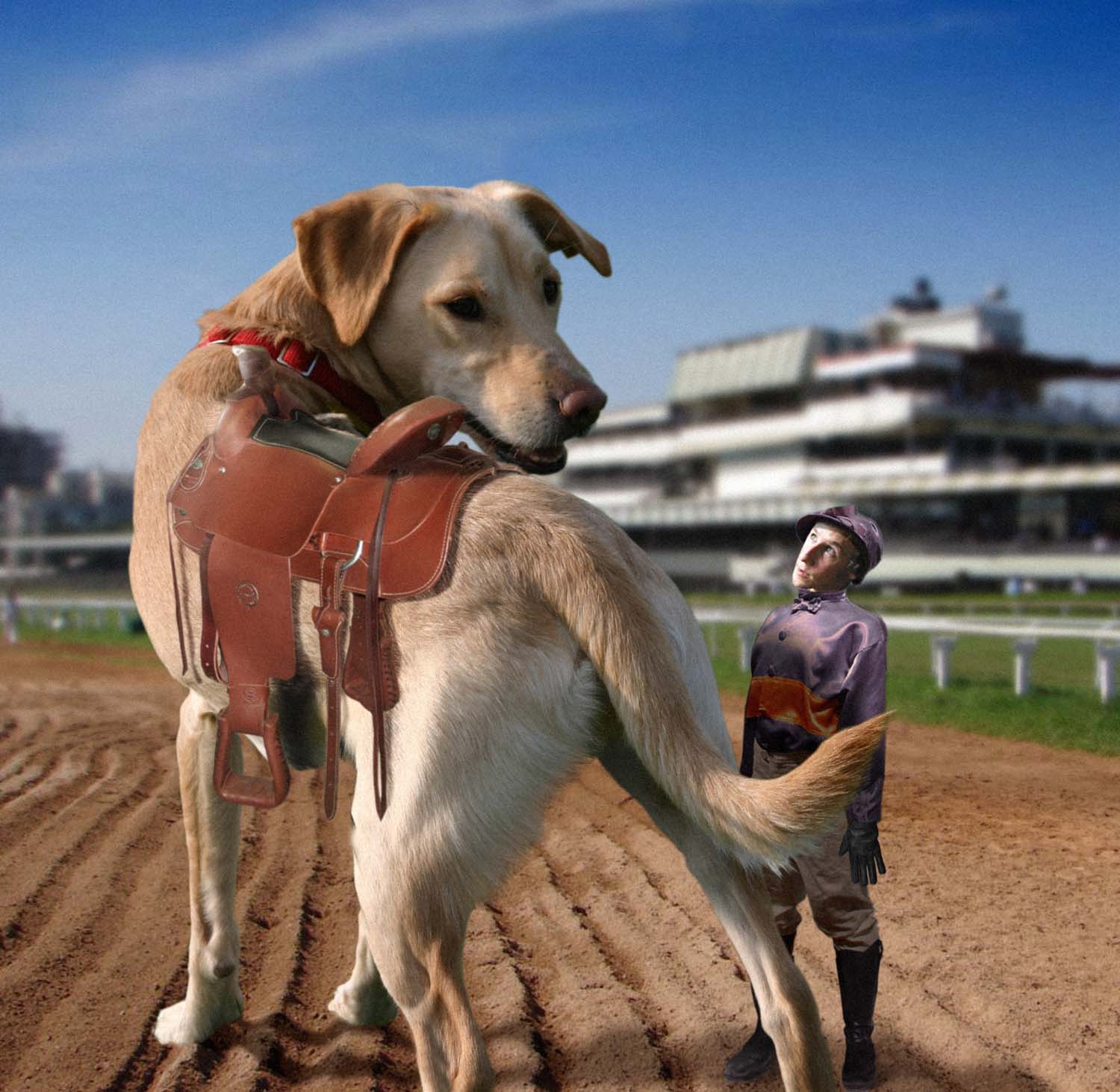 Photoshop Design by jamesmiddz for DesignCrowd (Community Contests) | Design #9030887