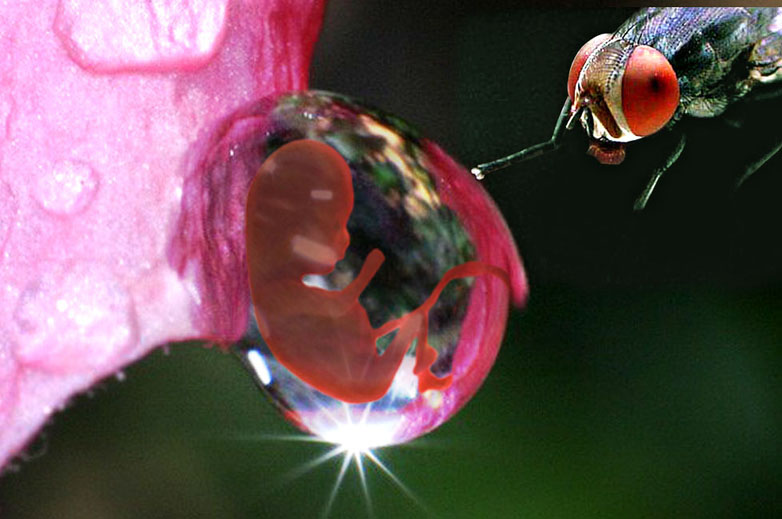 Photoshop Design by pendi29 for DesignCrowd (Community Contests) | Design #9030931