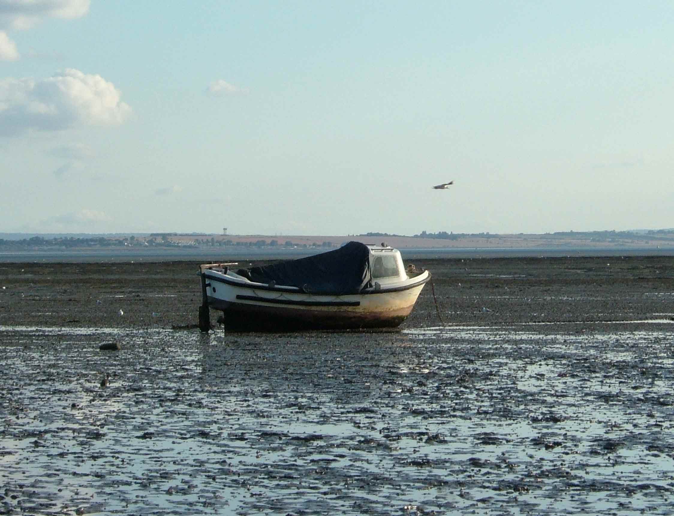 Photography by chrisboo1974 for DesignCrowd (Community Contests) | Design #9043196