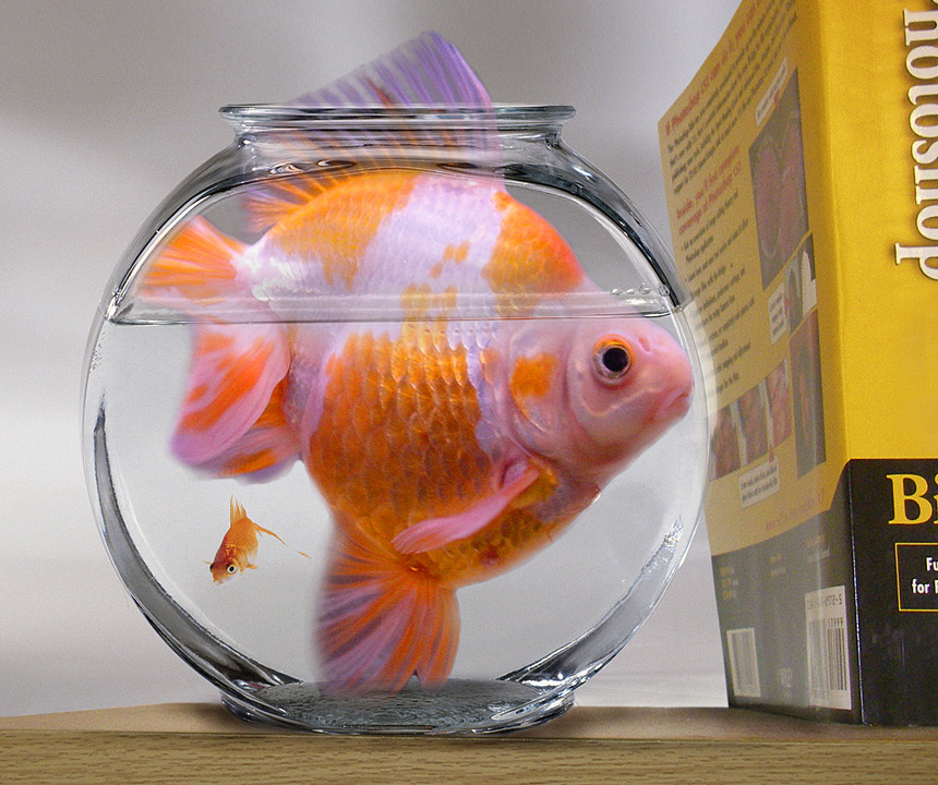 Photoshop Design by mjhaylor for DesignCrowd (Community Contests) | Design #9031041