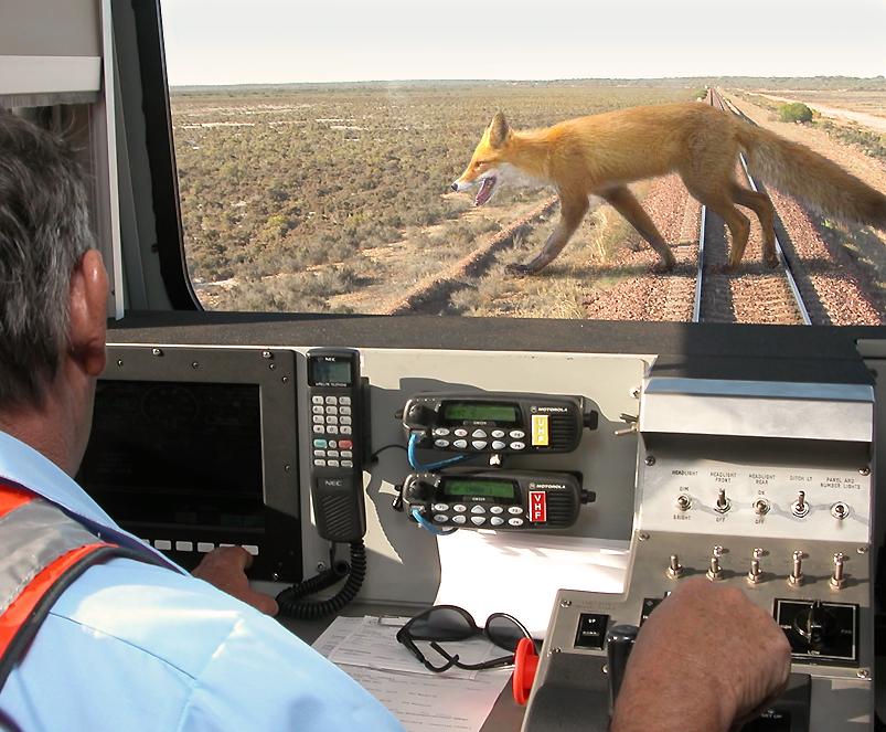 Diseño de Photoshop por sugarcane para DesignCrowd (Community Contests) | Diseño #9031034