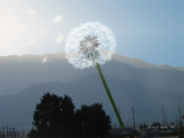 Photoshop Design by arturojm for DesignCrowd (Community Contests) | Design #9031063