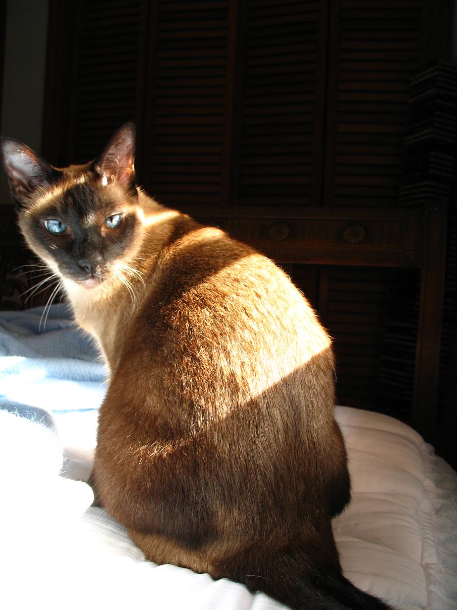 Photography by jersalv1 for DesignCrowd (Community Contests) | Design #9032288