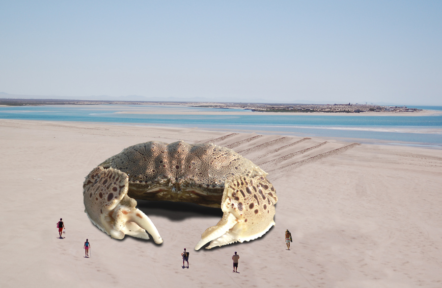 Design Photoshop par TimeTraveler pour DesignCrowd (Community Contests) | Design #9031001