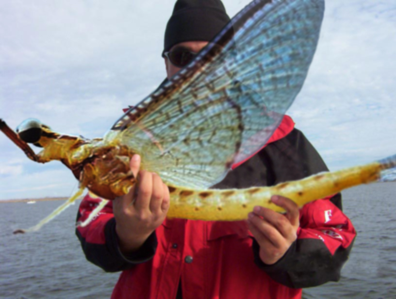 Photoshop Design by stryker229 for DesignCrowd (Community Contests) | Design #9031006