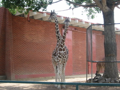 Photography by bc2poo for DesignCrowd (Community Contests) | Design #9043071