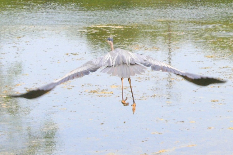 Photography by wendynicole for DesignCrowd (Community Contests) | Design #9032282