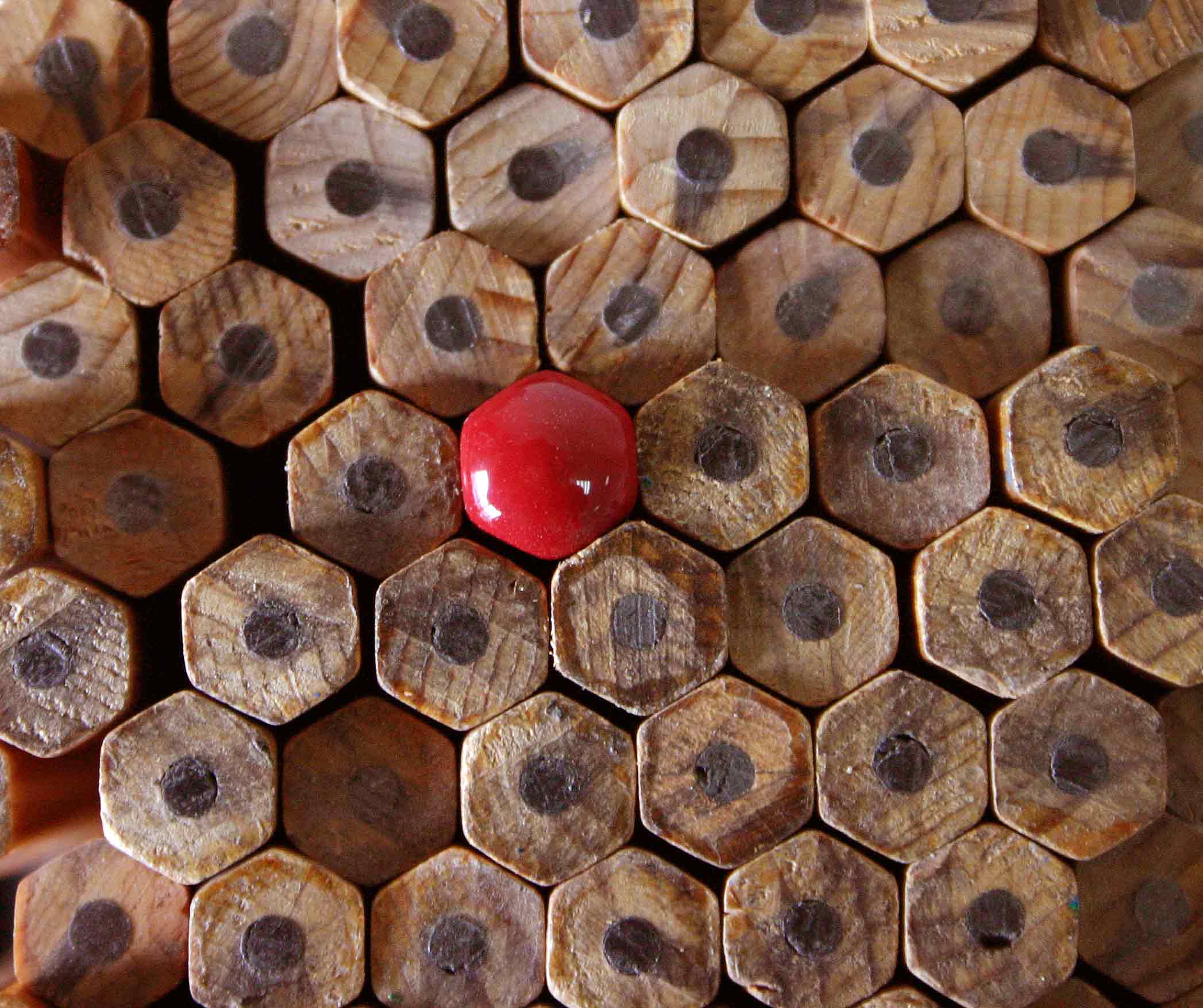 Fotografía por josulop para DesignCrowd (Community Contests) | Diseño #9032264