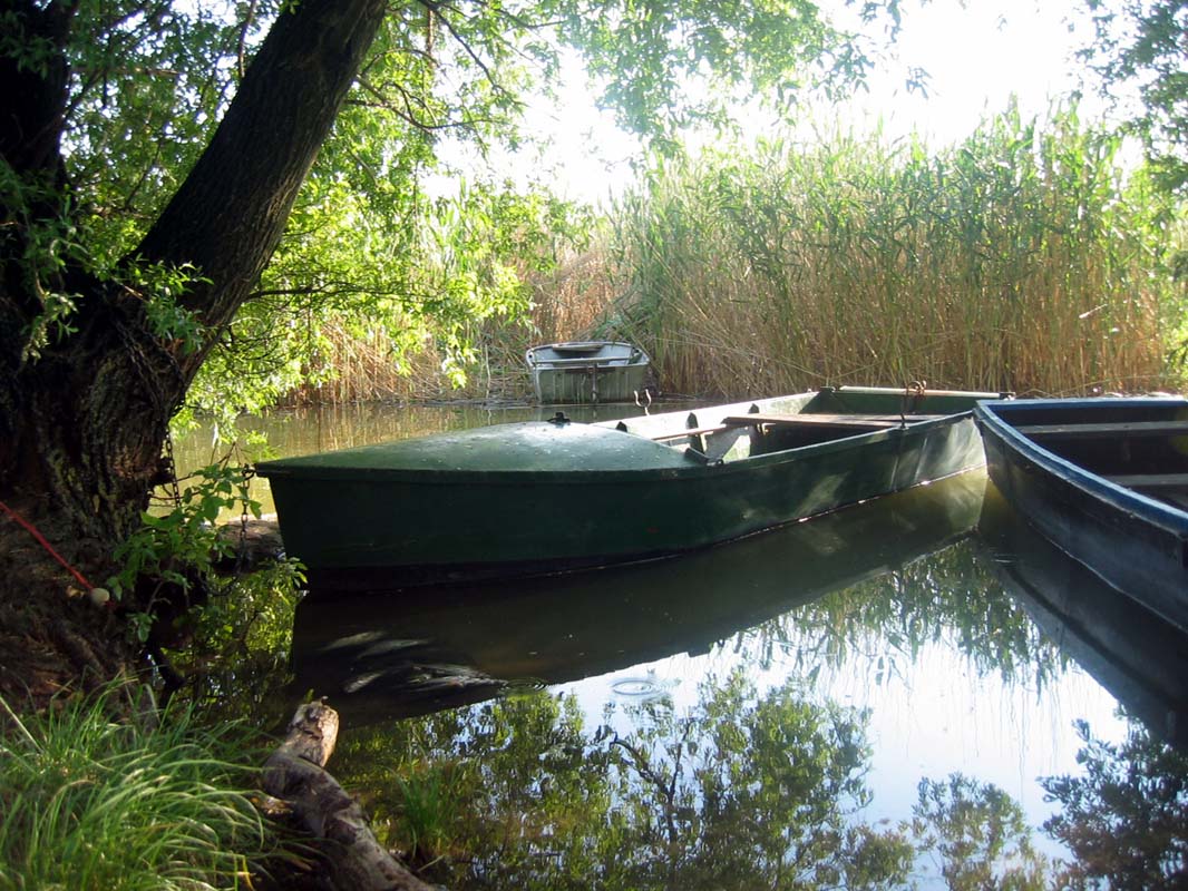 Fotografie von MrAdof für DesignCrowd (Community Contests) | Design #9043207