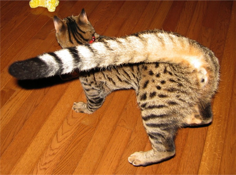 Photography by quin10 for DesignCrowd (Community Contests) | Design #9032383