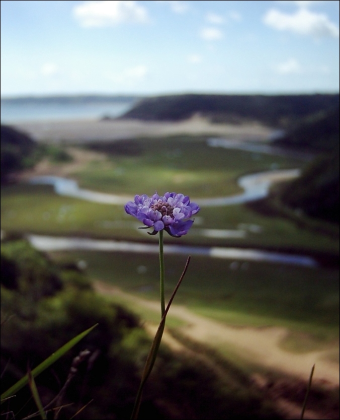 Photography by v00d00f1re for DesignCrowd (Community Contests) | Design #9034187