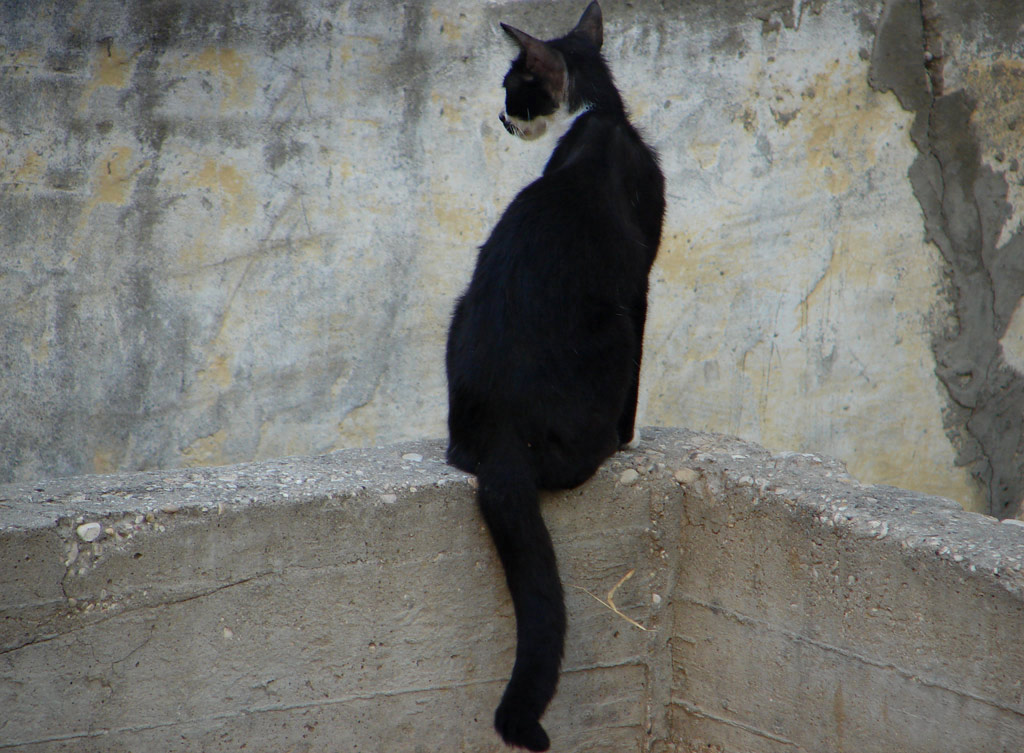 Photography by bigevil600 for DesignCrowd (Community Contests) | Design #9032352