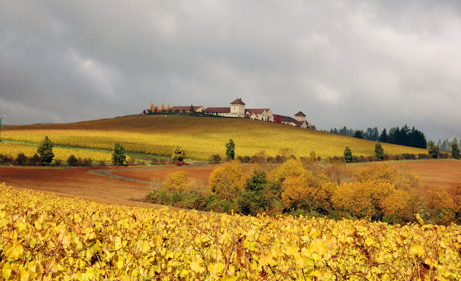 Photography by kingnaper for DesignCrowd (Community Contests) | Design #9034193