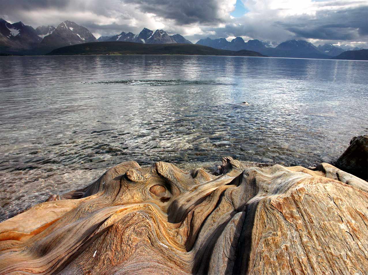 Photographie par elchkuh pour DesignCrowd (Community Contests) | Design #9034217