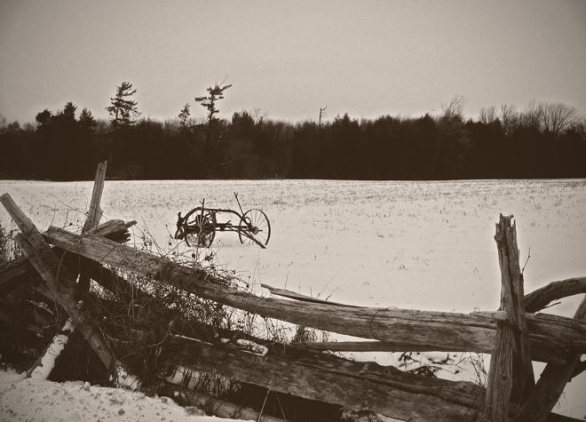 Photography by aholden1 for DesignCrowd (Community Contests) | Design #9033062