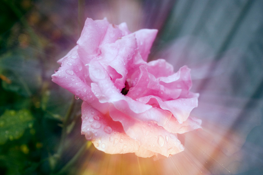 Fotografie von AwsmGy für DesignCrowd (Community Contests) | Design #9044603