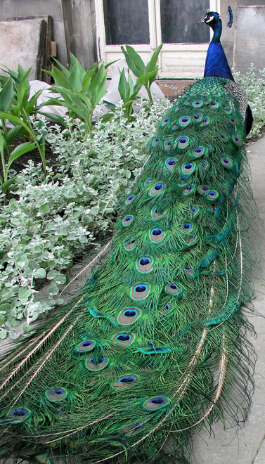 Photography by BearQT for DesignCrowd (Community Contests) | Design #9032335