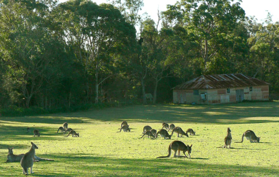 Photographie par gymp93 pour DesignCrowd (Community Contests) | Design #9034332