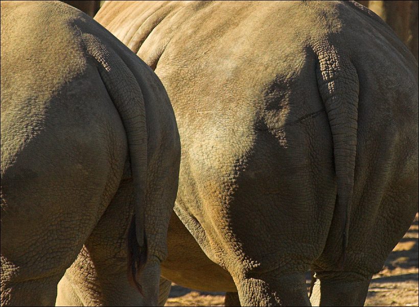 Photography by kimbomac for DesignCrowd (Community Contests) | Design #9032327