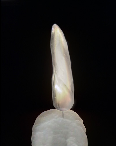 Diseño de Photoshop por Kruler para DesignCrowd (Community Contests) | Diseño #9045856