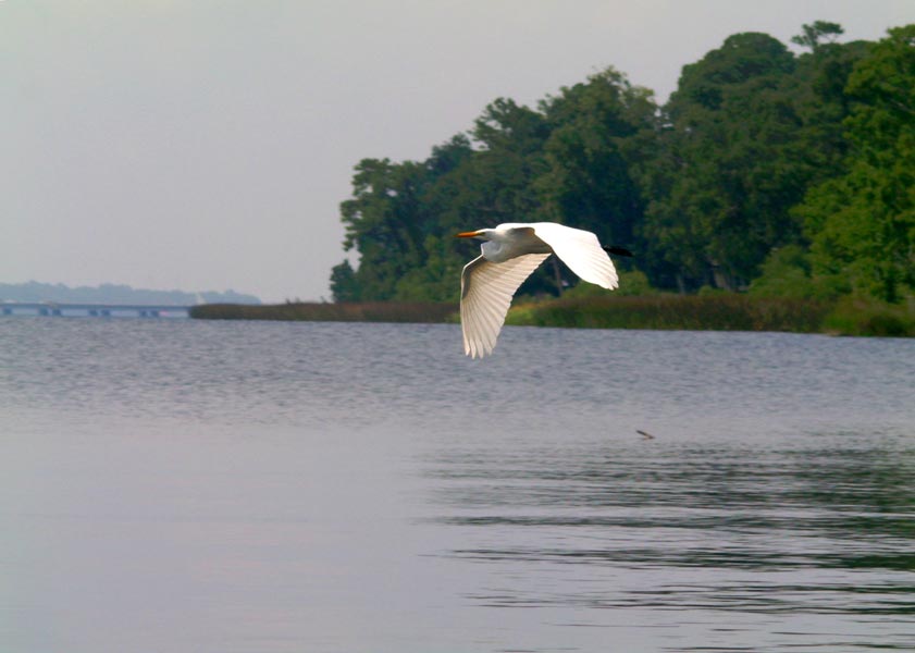 Photography by mischief83 for DesignCrowd (Community Contests) | Design #9034346