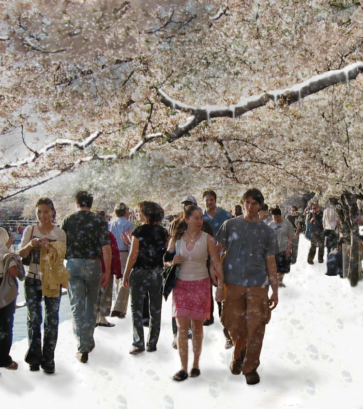 Photoshop-Design von katmgck für DesignCrowd (Community Contests) | Design #9045924