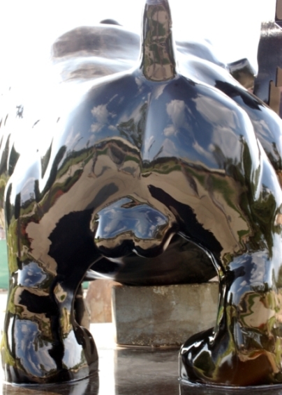 Fotografía por dragonwolf125 para DesignCrowd (Community Contests) | Diseño #9032496