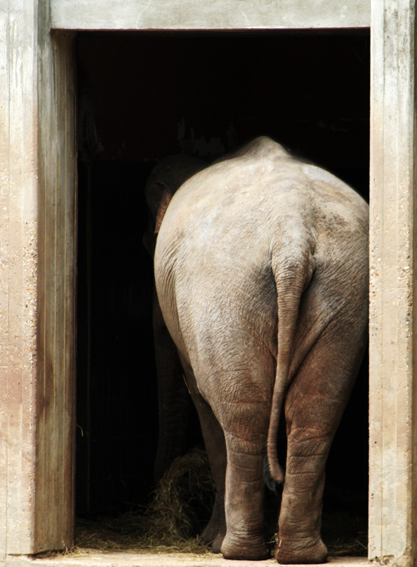 Photography by Halkatla for DesignCrowd (Community Contests) | Design #9032450