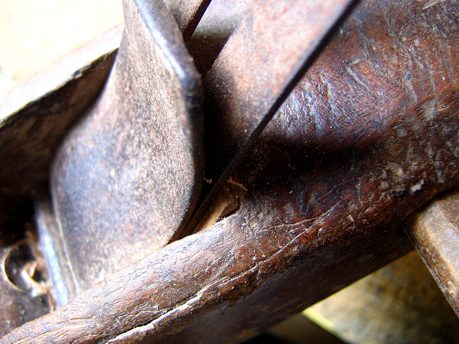 Photography by Avederp for DesignCrowd (Community Contests) | Design #9033091