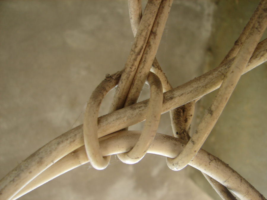 Photography by bigevil600 for DesignCrowd (Community Contests) | Design #9045666