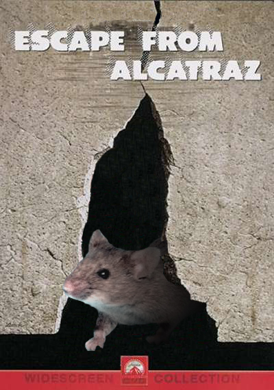 Photoshop-Design von marcelreigersberg für DesignCrowd (Community Contests) | Design #9032700