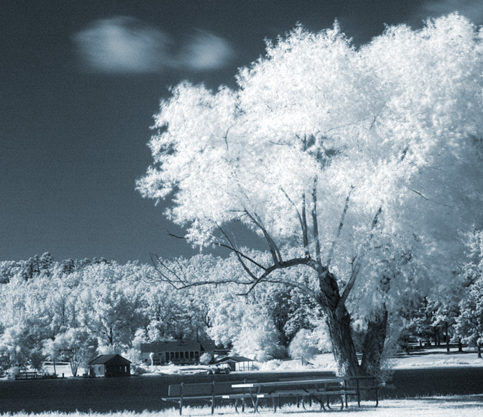 Photography by burns529 for DesignCrowd (Community Contests) | Design #9034343