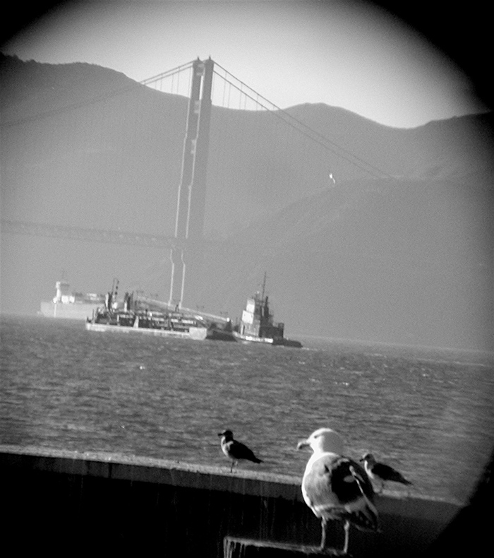 Photography by julianpitt for DesignCrowd (Community Contests) | Design #9034396