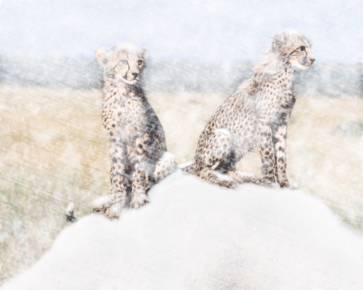 Photoshop-Design von Chalty669 für DesignCrowd (Community Contests) | Design #9045989
