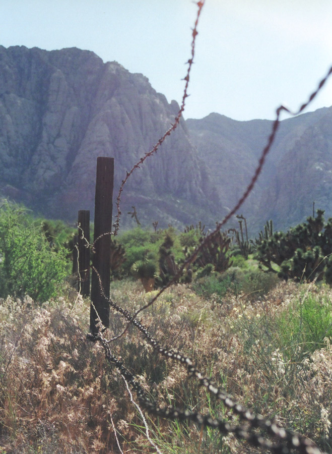 Fotografie von georgethedog für DesignCrowd (Community Contests) | Design #9034388