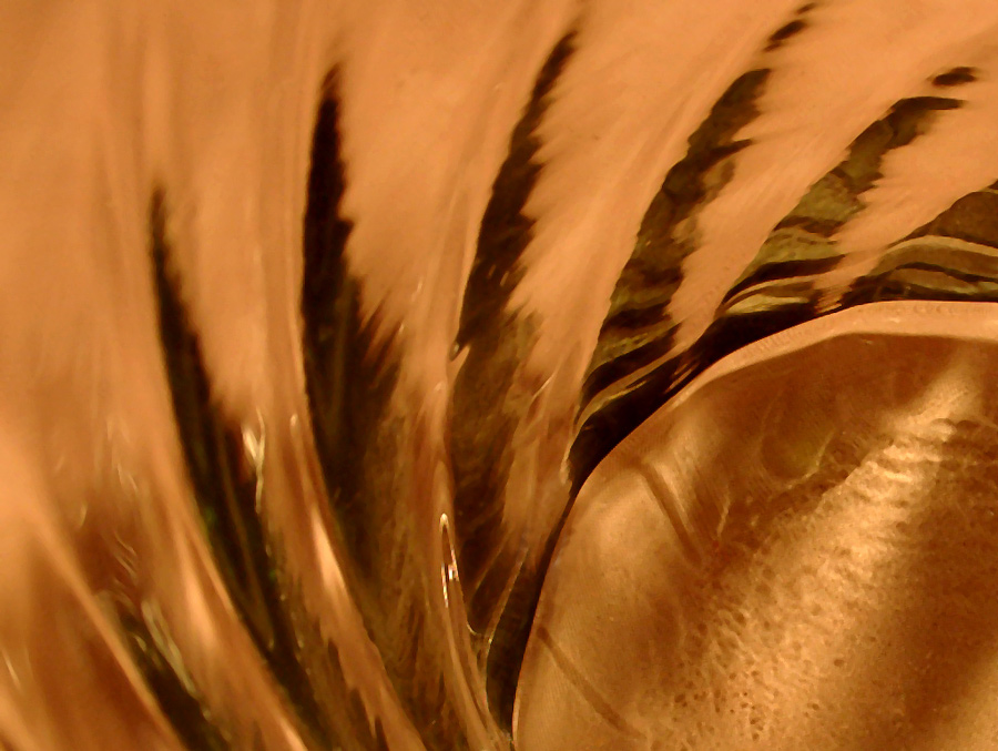 Photography by drogers for DesignCrowd (Community Contests) | Design #9045711