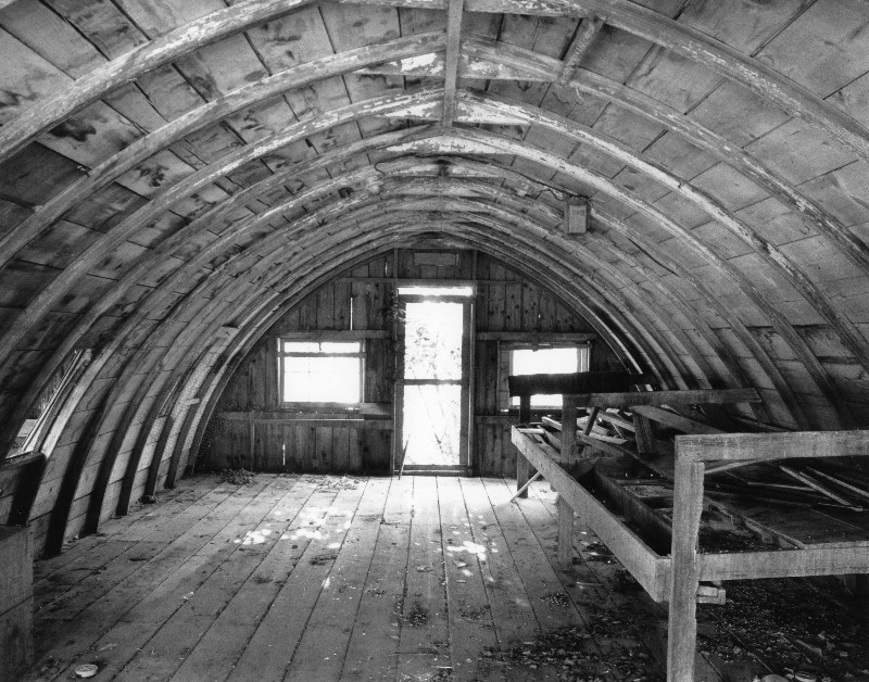 Fotografía por dragonwolf125 para DesignCrowd (Community Contests) | Diseño #9045721