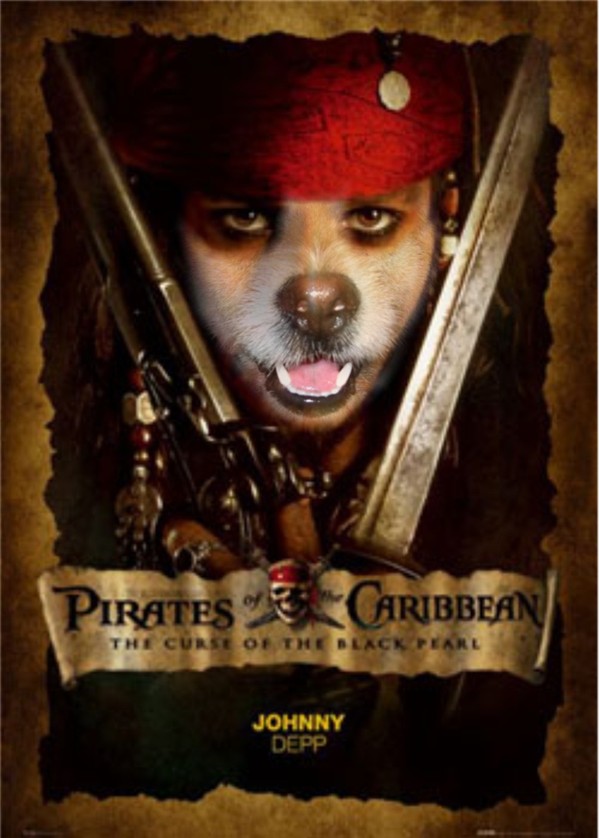 Photoshop Design by quin10 for DesignCrowd (Community Contests) | Design #9032866