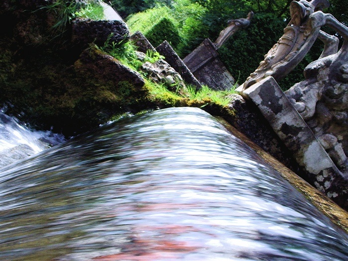 Photography by julianpitt for DesignCrowd (Community Contests) | Design #9045691