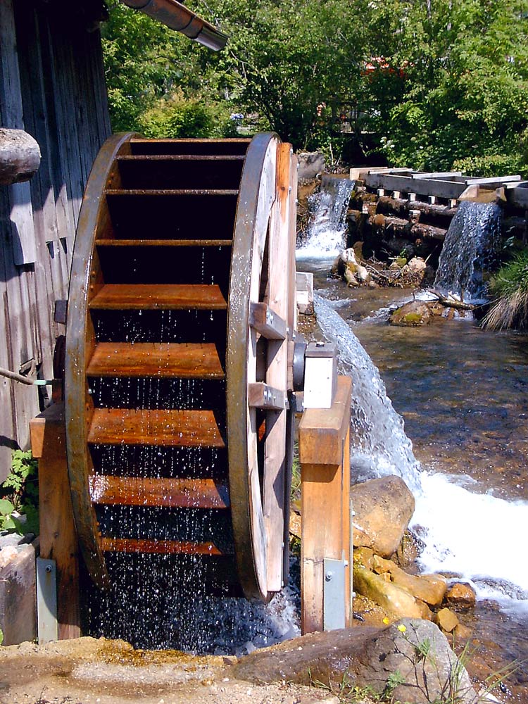 Fotografía por greenjesus para DesignCrowd (Community Contests) | Diseño #9033148