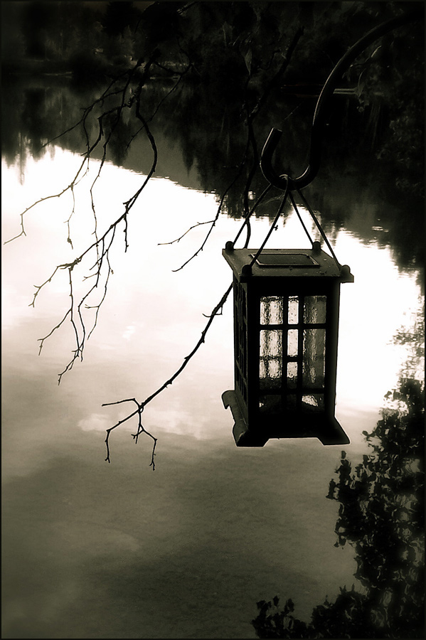 Photography by nowheregirl for DesignCrowd (Community Contests) | Design #9033146