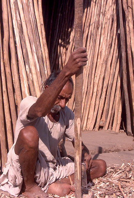 Photography by MisterSir for DesignCrowd (Community Contests) | Design #9033175