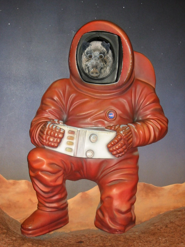 Photoshop Design by dadrak for DesignCrowd (Community Contests) | Design #9041426