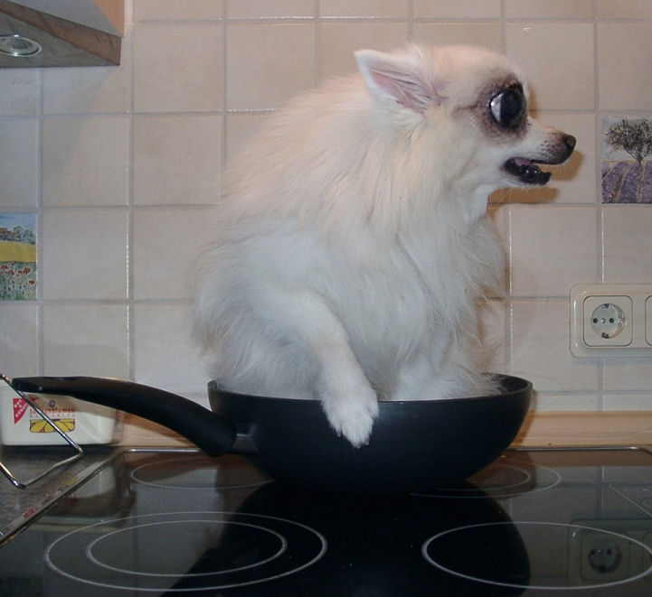 Photoshop Design by Irrwitzer for DesignCrowd (Community Contests) | Design #9031703