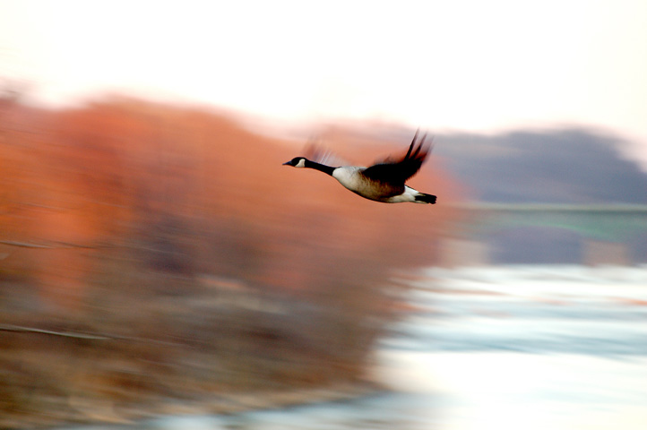 Photography by m3mane30 for DesignCrowd (Community Contests) | Design #9042164